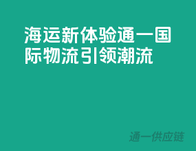海运新体验，通一国际物流引领潮流