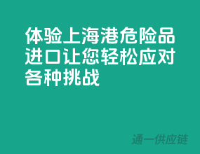 体验上海港危险品进口，让您轻松应对各种挑战