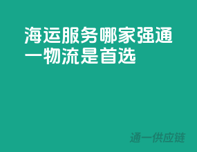 海运服务哪家强？通一物流是首选