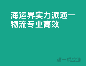 海运界实力派，通一物流专业高效