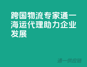 跨国物流专家，通一海运代理，助力企业发展！