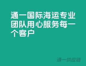 通一国际海运，专业团队，用心服务每一个客户！