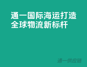 通一国际海运，打造全球物流新标杆！