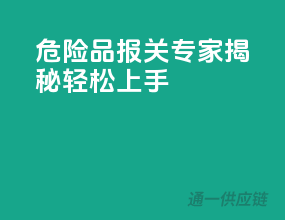 危险品报关专家揭秘，轻松上手