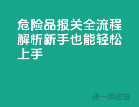 危险品报关全流程解析，新手也能轻松上手