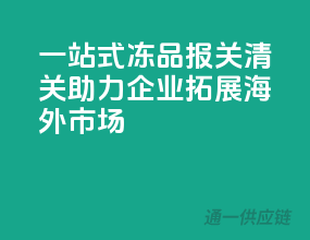 一站式冻品报关清关，助力企业拓展海外市场