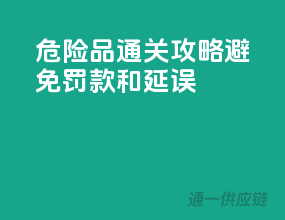 危险品通关攻略，避免罚款和延误！