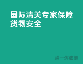 国际清关专家，保障货物安全