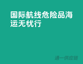 国际航线，危险品海运无忧行