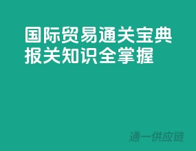 国际贸易通关宝典，报关知识全掌握