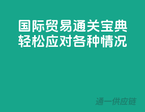 国际贸易通关宝典，轻松应对各种情况