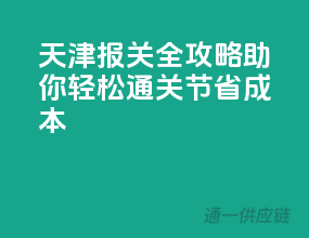 天津报关全攻略，助你轻松通关，节省成本
