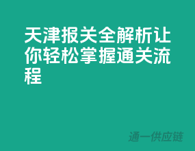天津报关全解析，让你轻松掌握通关流程