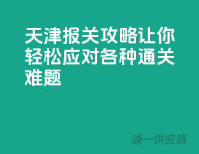 天津报关攻略，让你轻松应对各种通关难题