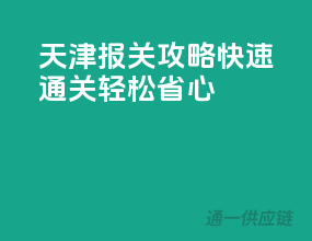天津报关攻略：快速通关，轻松省心