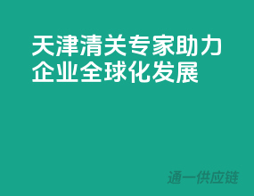 天津清关专家，助力企业全球化发展