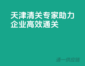 天津清关专家，助力企业高效通关