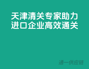 天津清关专家，助力进口企业高效通关