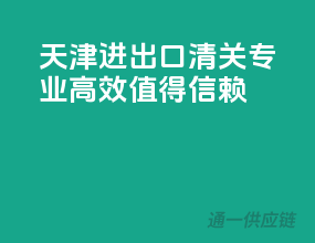 天津进出口清关，专业高效，值得信赖