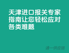 天津进口报关专家指南，让您轻松应对各类难题