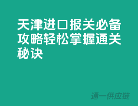 天津进口报关必备攻略，轻松掌握通关秘诀