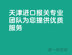 天津进口报关，专业团队为您提供优质服务