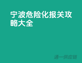 宁波危险化报关攻略大全