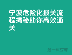 宁波危险化报关流程揭秘，助你高效通关