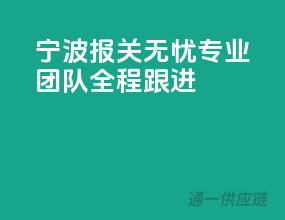 宁波报关无忧，专业团队全程跟进