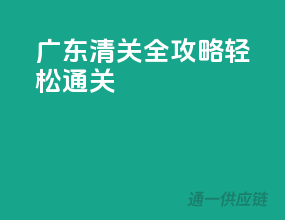 广东清关全攻略，轻松通关