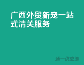 广西外贸新宠，一站式清关服务