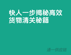 快人一步，揭秘高效货物清关秘籍
