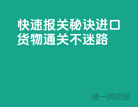 快速报关秘诀，进口货物通关不迷路