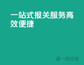 一站式报关服务，高效便捷