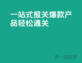 一站式报关，爆款产品轻松通关