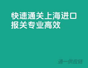 快速通关，上海进口报关，专业高效