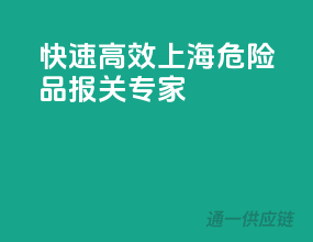 快速高效，上海危险品报关专家