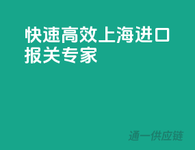 快速高效，上海进口报关专家