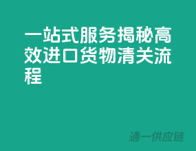 一站式服务！揭秘高效进口货物清关流程