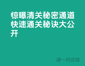 惊曝：清关秘密通道，快速通关秘诀大公开！