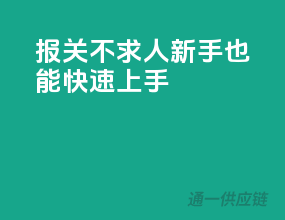 报关不求人，新手也能快速上手