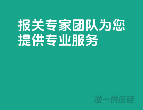 报关专家团队，为您提供专业服务