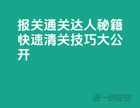 报关通关达人秘籍，快速清关技巧大公开