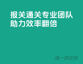 报关通关，专业团队助力，效率翻倍