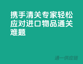 携手清关专家，轻松应对进口物品通关难题