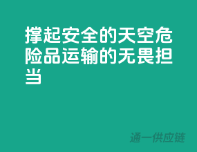 撑起安全的天空：危险品运输的无畏担当