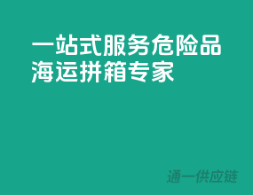 一站式服务，危险品海运拼箱专家