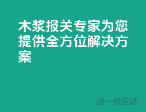 木浆报关专家，为您提供全方位解决方案