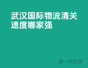 武汉国际物流，清关速度哪家强？