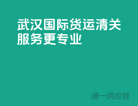 武汉国际货运，清关服务更专业